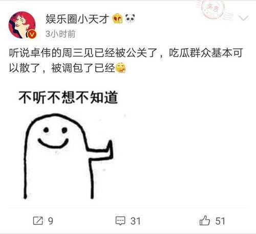 视频结尾爆料怎么弄好看,打造引人入胜的概述文章副标题技巧  第1张